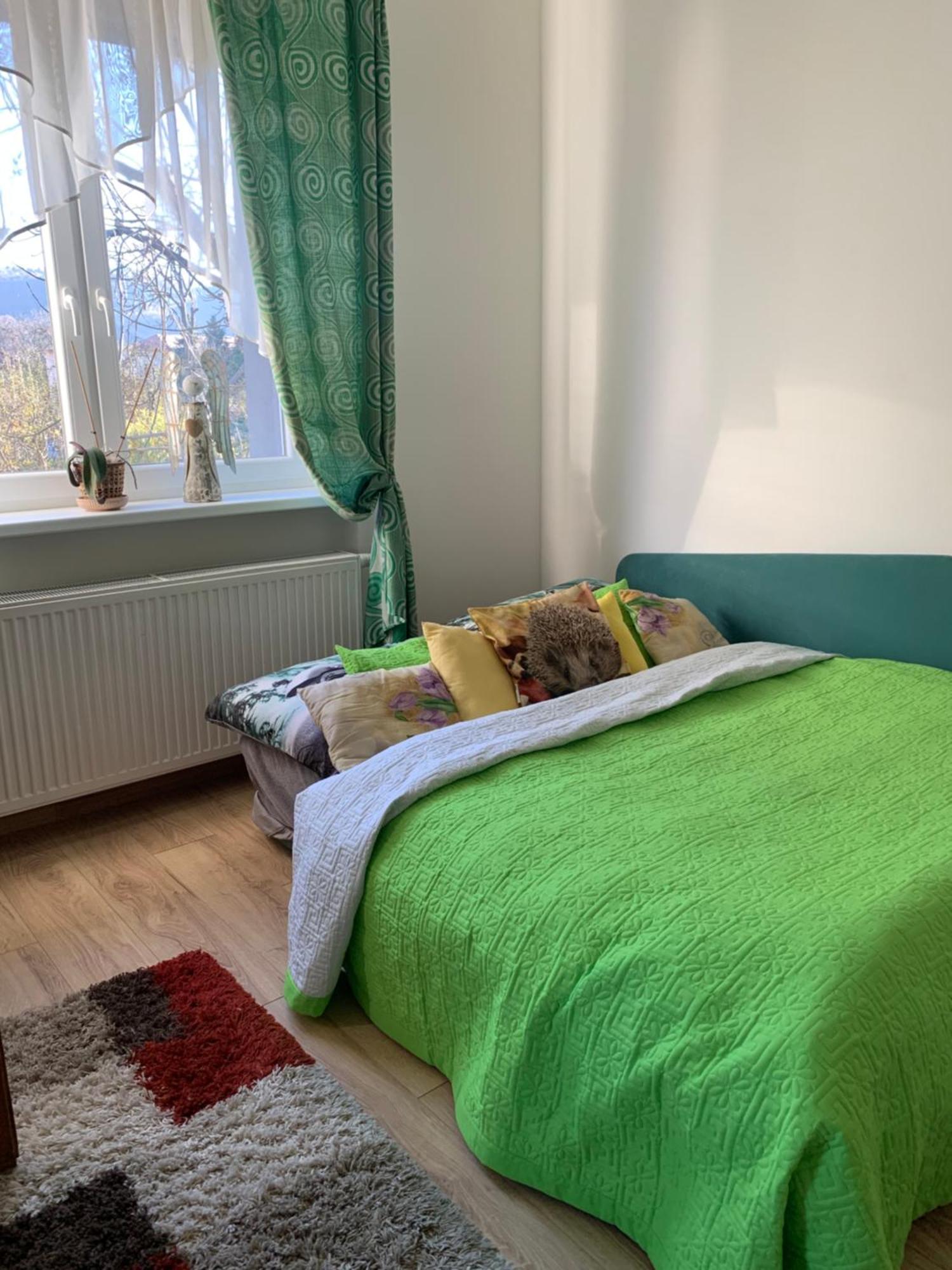 Hotel Mnichov Dvor à Slovenska Lupca Extérieur photo